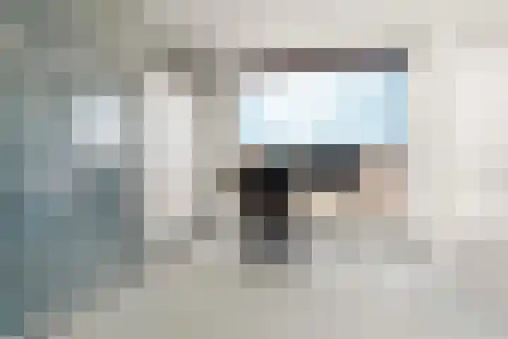 Akkerwinde 31 Lent thumbnail 30