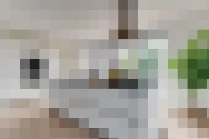 Akkerwinde 31 Lent thumbnail 31