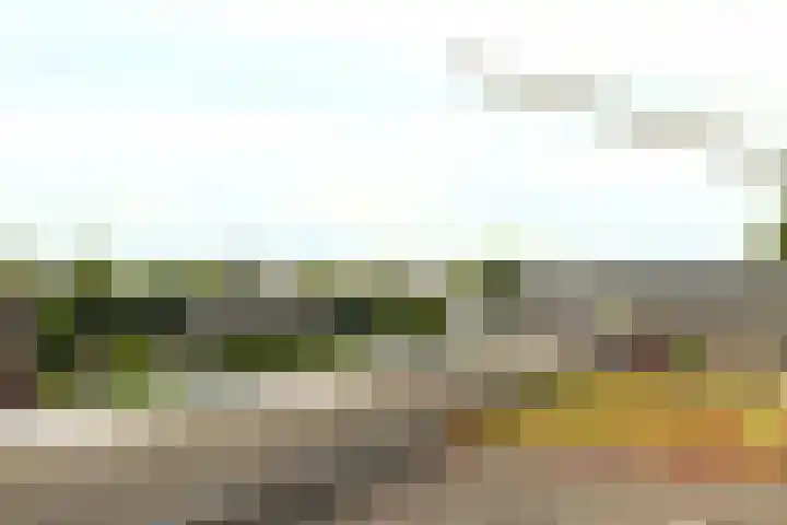 Akkerwinde 31 Lent thumbnail 34