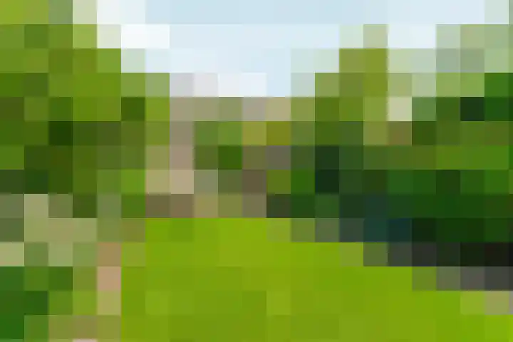 Akkerwinde 31 Lent thumbnail 35