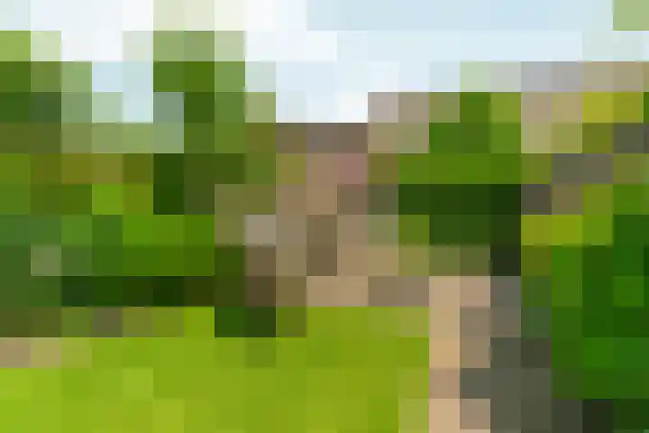 Akkerwinde 31 Lent thumbnail 36