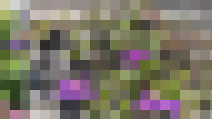 Akkerwinde 31 Lent thumbnail 40