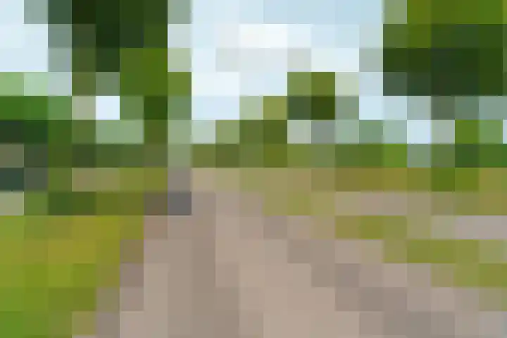 Akkerwinde 31 Lent thumbnail 43