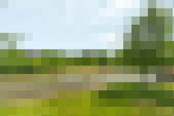 Akkerwinde 31 Lent thumbnail 44