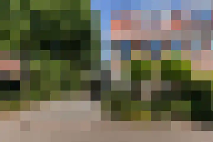 Akkerwinde 31 Lent thumbnail 48