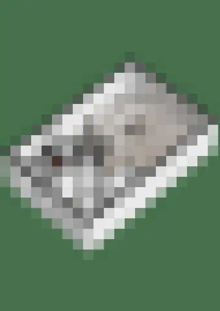 Akkerwinde 31 Lent thumbnail 49