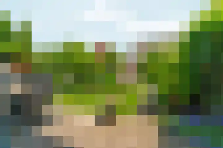 Akkerwinde 31 Lent thumbnail 7