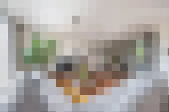 Akkerwinde 36 Waddinxveen thumbnail 10