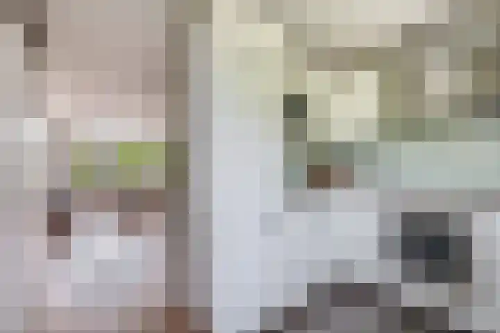 Akkerwinde 36 Waddinxveen thumbnail 13