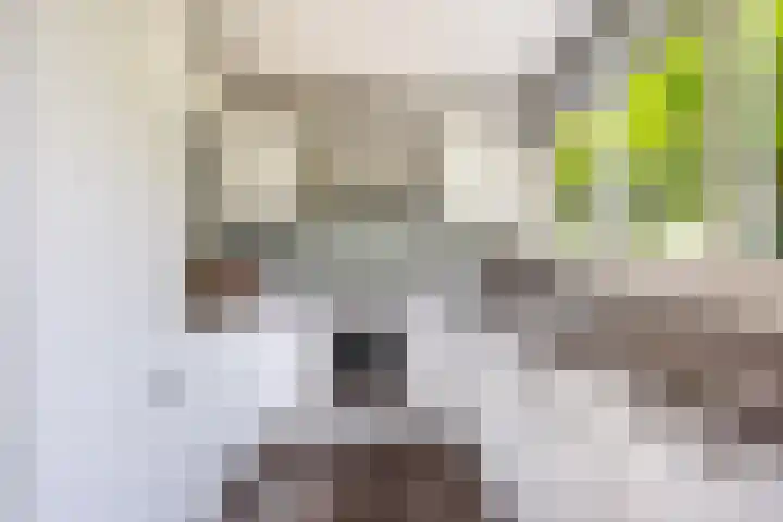 Akkerwinde 36 Waddinxveen thumbnail 14