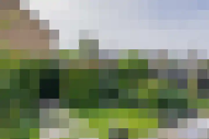 Akkerwinde 36 Waddinxveen thumbnail 17