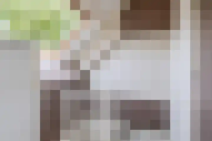 Akkerwinde 36 Waddinxveen thumbnail 32