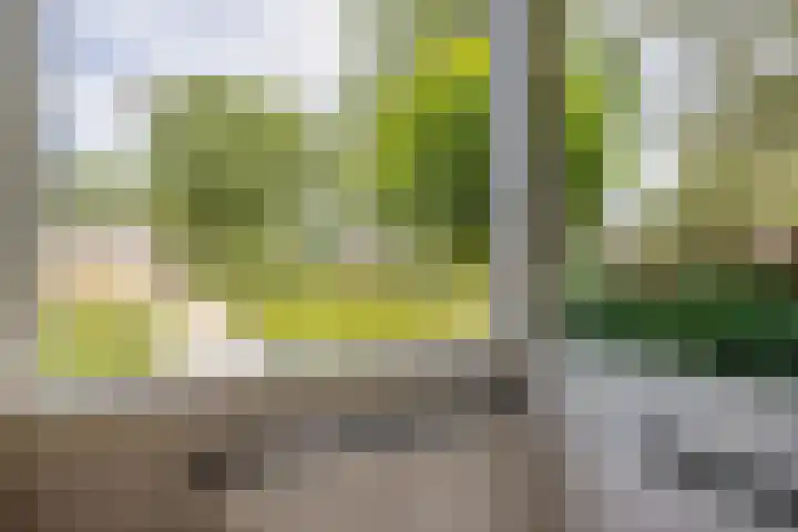 Akkerwinde 36 Waddinxveen thumbnail 33