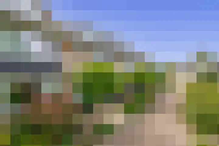 Akkerwinde 36 Waddinxveen thumbnail 4