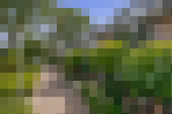 Akkerwinde 36 Waddinxveen thumbnail 5