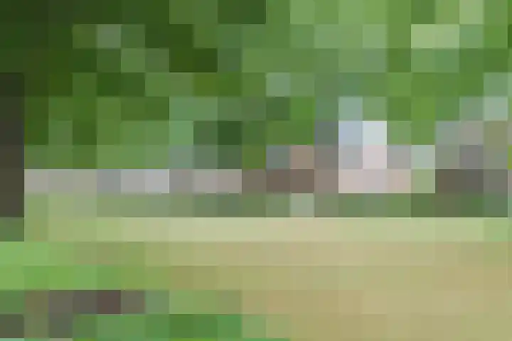 Akkerwinde 43 Hapert thumbnail 32