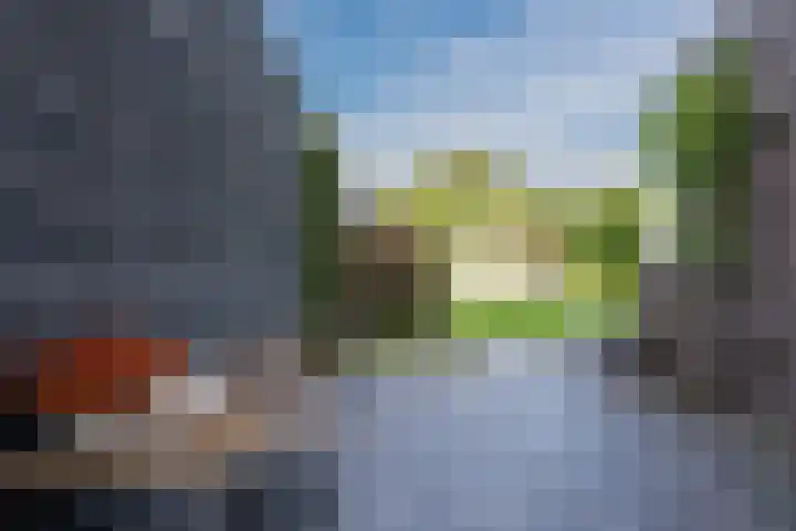Akkerwinde 55 Hapert thumbnail 31