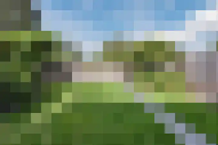 Akkerwinde 55 Hapert thumbnail 32
