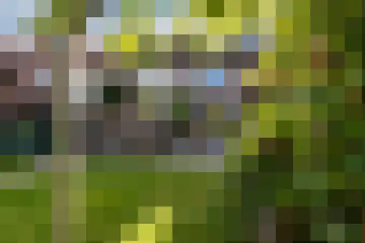 Akkerwinde 55 Hapert thumbnail 33