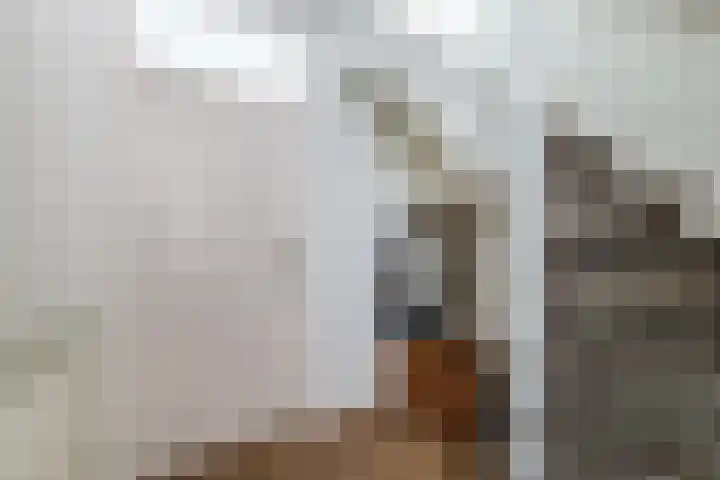 Akkerwinde 55 Hapert thumbnail 5