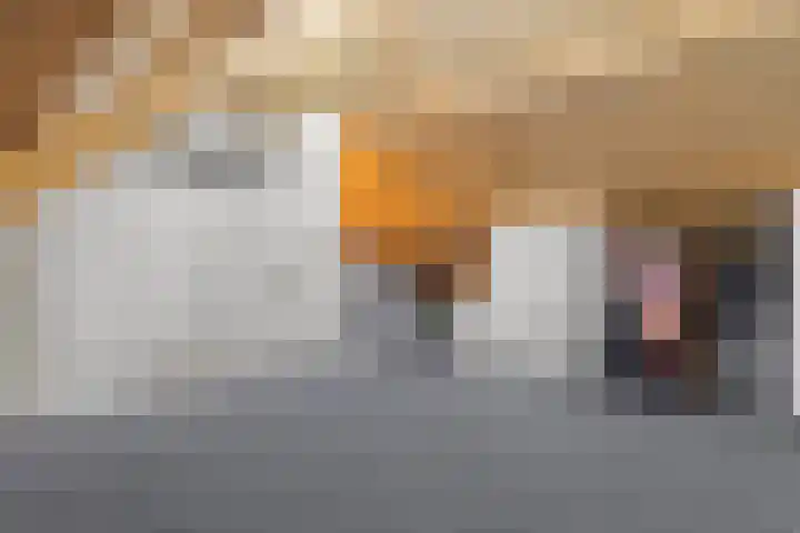 Akkerwinde 58 Venlo thumbnail 37