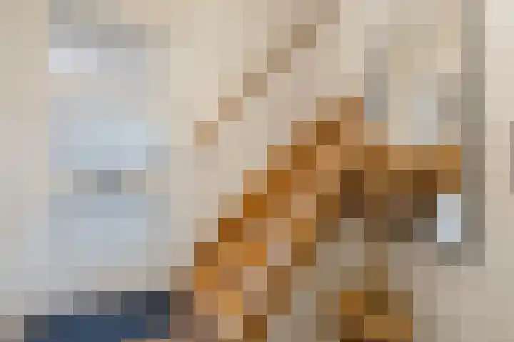 Akkerwinde 58 Venlo thumbnail 4