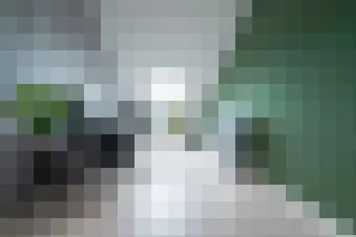 Akkerwinde 6 Ameide thumbnail 19
