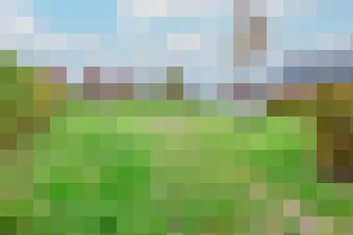Akkerwinde 6 Ameide thumbnail 24