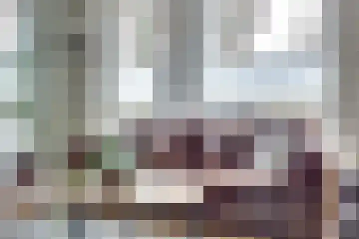 Akkerwinde 79 Best thumbnail 10