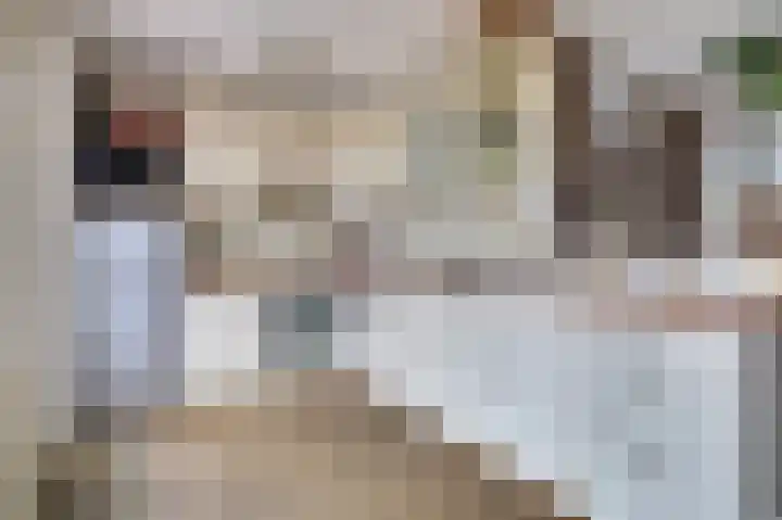 Akkerwinde 79 Best thumbnail 11