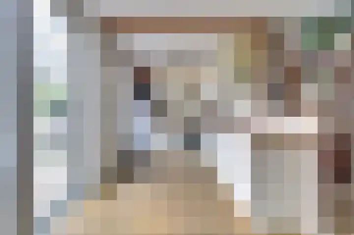 Akkerwinde 79 Best thumbnail 12