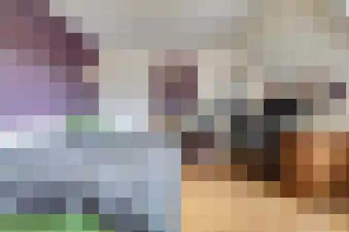 Akkerwinde 79 Best thumbnail 18