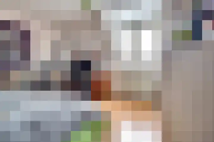 Akkerwinde 79 Best thumbnail 19