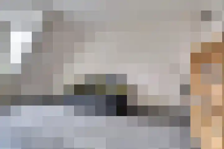 Akkerwinde 79 Best thumbnail 20