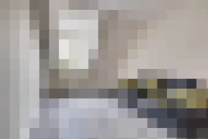 Akkerwinde 79 Best thumbnail 21