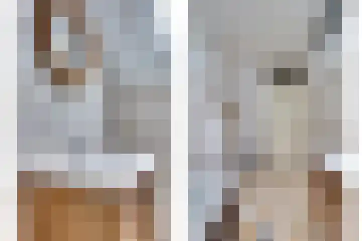 Akkerwinde 79 Best thumbnail 25