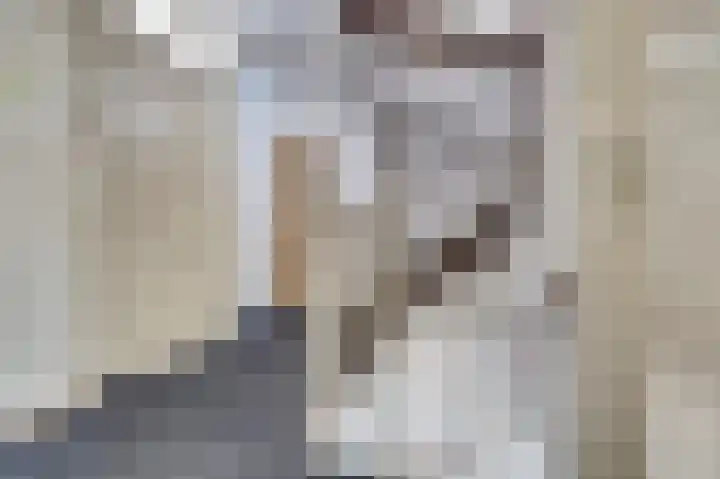 Akkerwinde 79 Best thumbnail 26