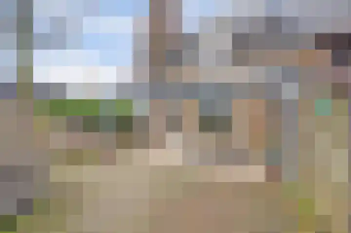 Akkerwinde 79 Best thumbnail 32