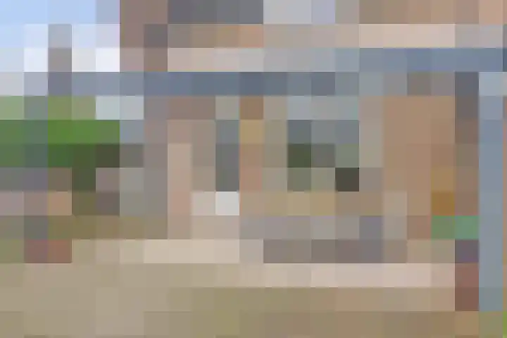 Akkerwinde 79 Best thumbnail 33