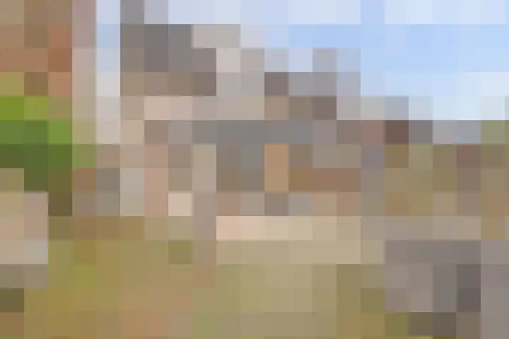 Akkerwinde 79 Best thumbnail 34