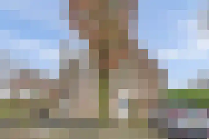 Akkerwinde 79 Best thumbnail 35