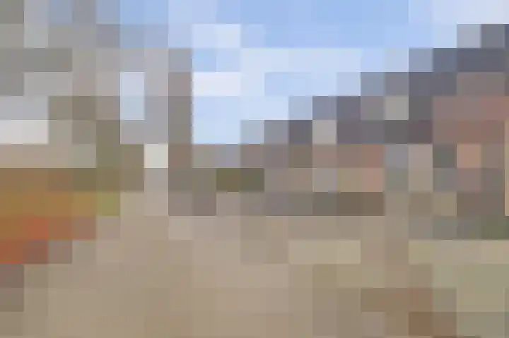 Akkerwinde 79 Best thumbnail 36