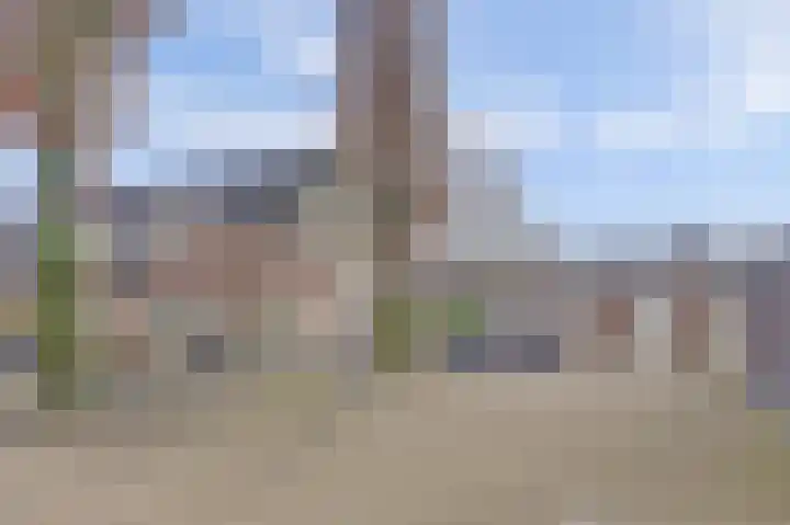 Akkerwinde 79 Best thumbnail 37