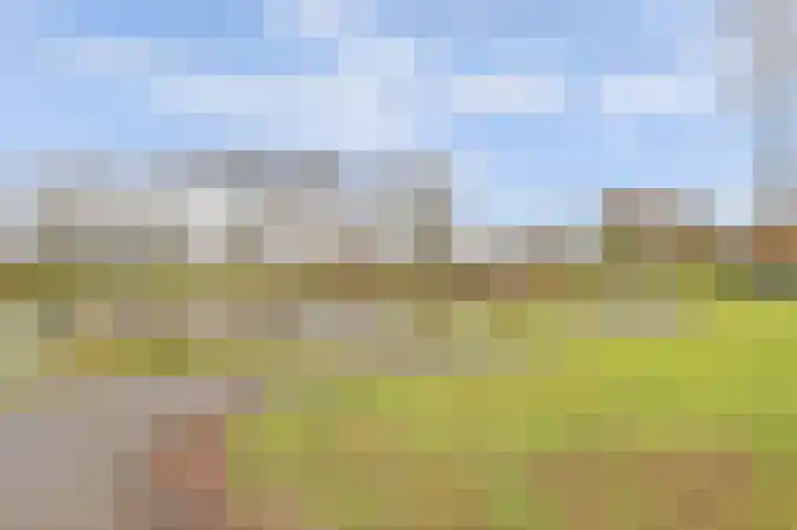 Akkerwinde 79 Best thumbnail 39