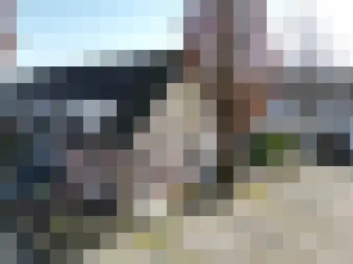 Akkerwinde 79 Best thumbnail 40