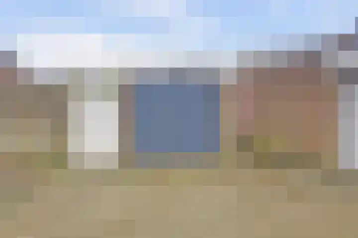 Akkerwinde 79 Best thumbnail 41