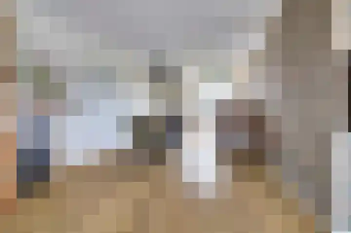 Akkerwinde 79 Best thumbnail 8
