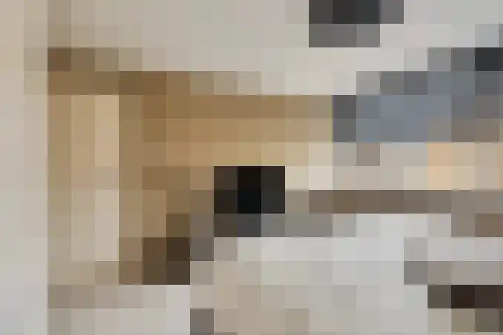 Akkerwinde 8 Barendrecht thumbnail 18