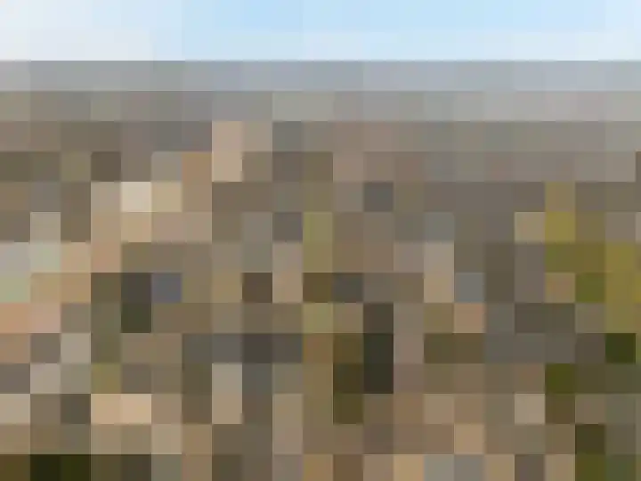 Akkerwinde 8 Barendrecht thumbnail 4