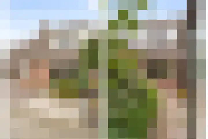 Akkerwinde 9 IJsselstein thumbnail 27
